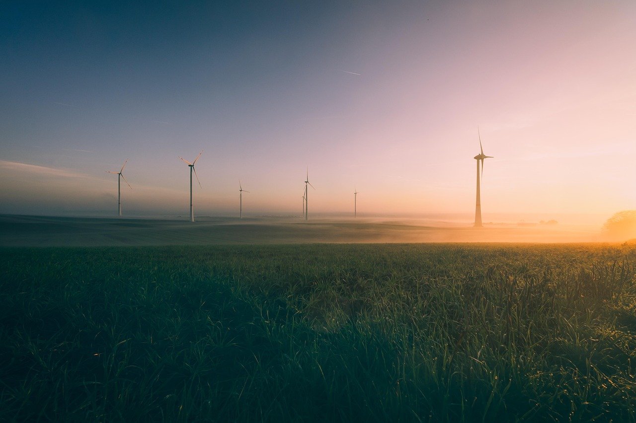 Comment obtenir un accompagnement personnalisé pour sa transition écologique en 2025 ?