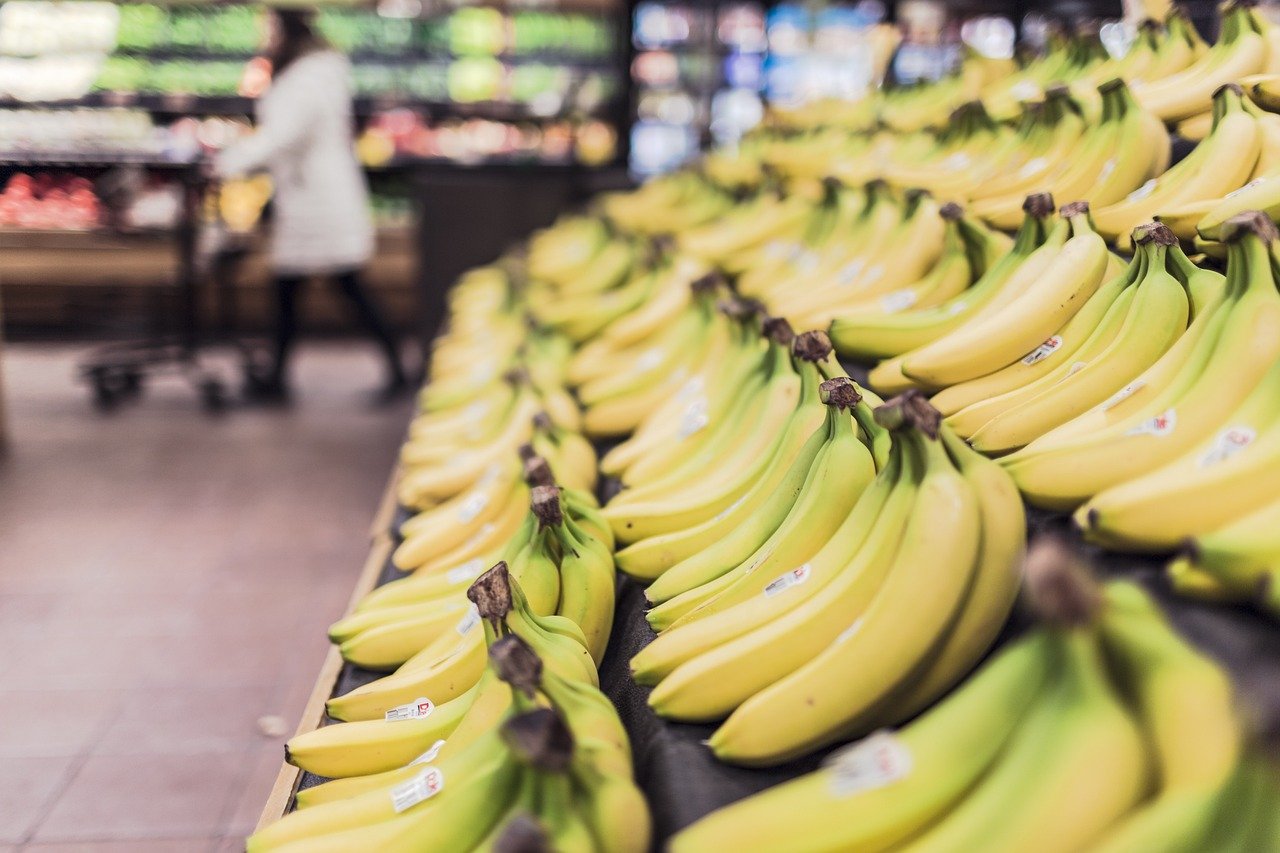 Comment bénéficier des nouvelles aides shopping pour seniors en Auvergne selon Senior Magazine 2025 ?