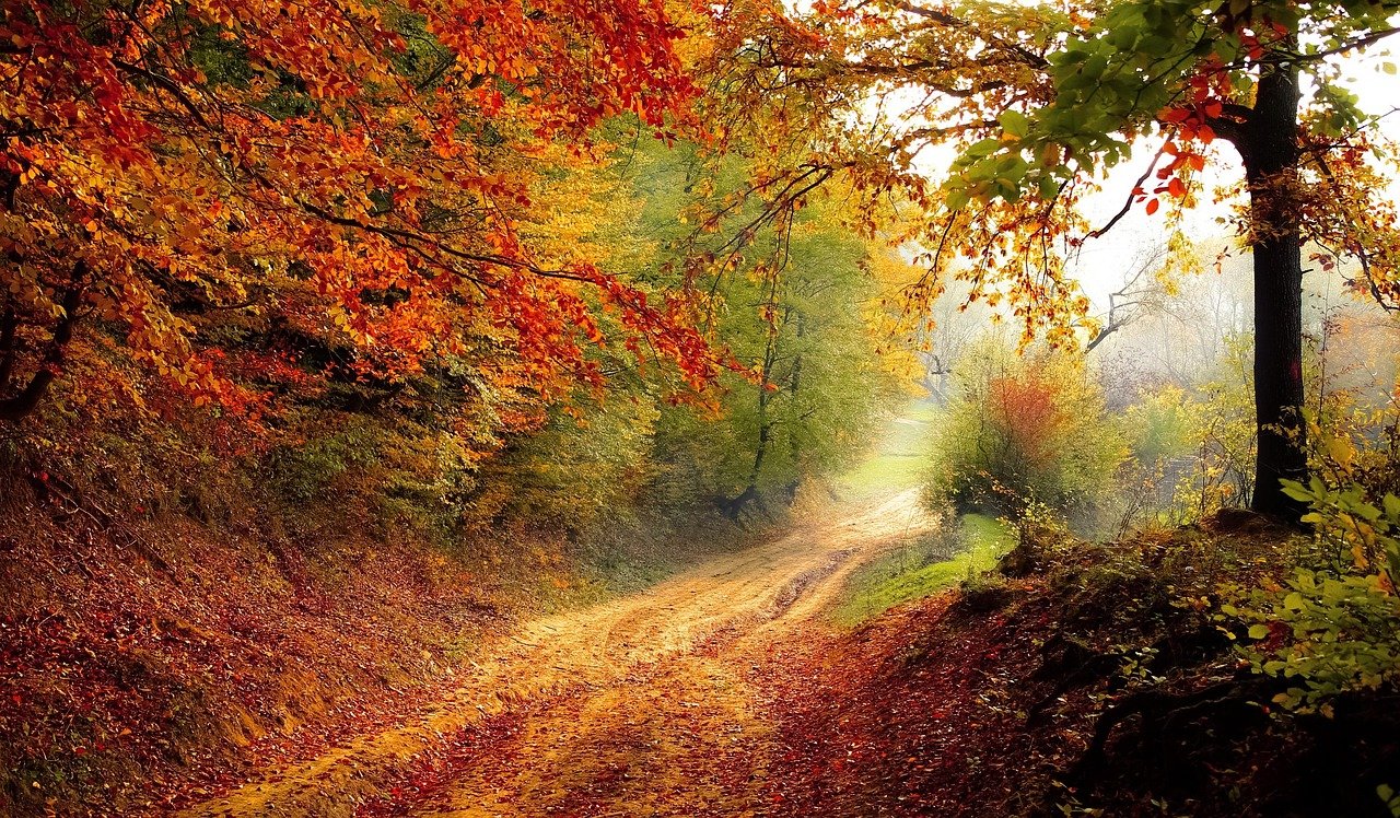 Quels sentiers de trail évitent les températures extrêmes selon Trail Magazine 2025 ?