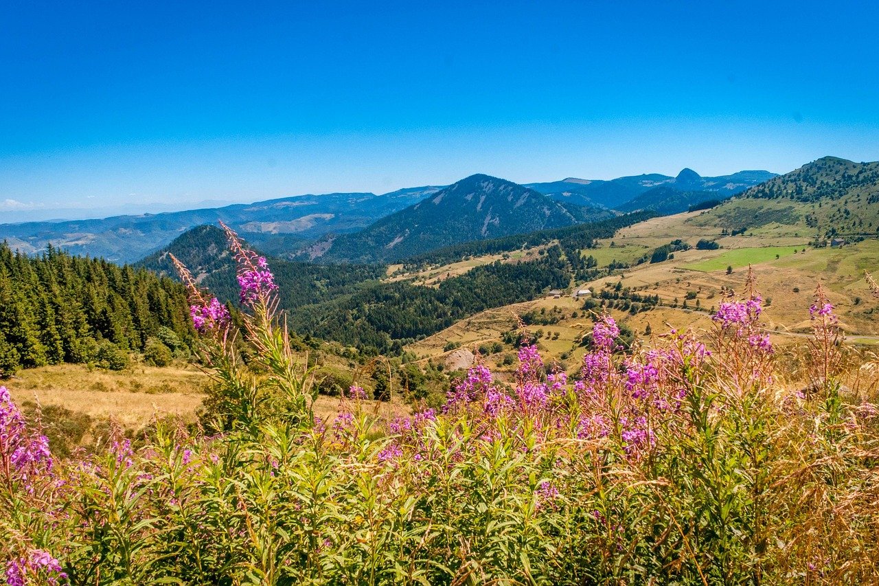 « Offres Rentrée 2025 : Découvrez les Volcans d’Auvergne à Petit Prix »