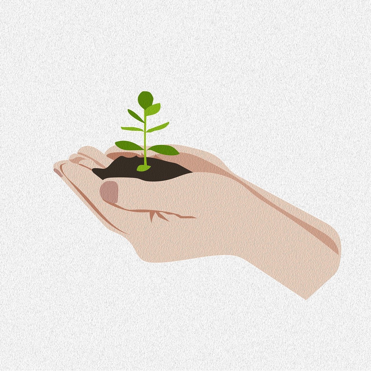 Où obtenir des graines bio gratuites pour son potager à Clermont-Ferrand selon Kokopelli ?