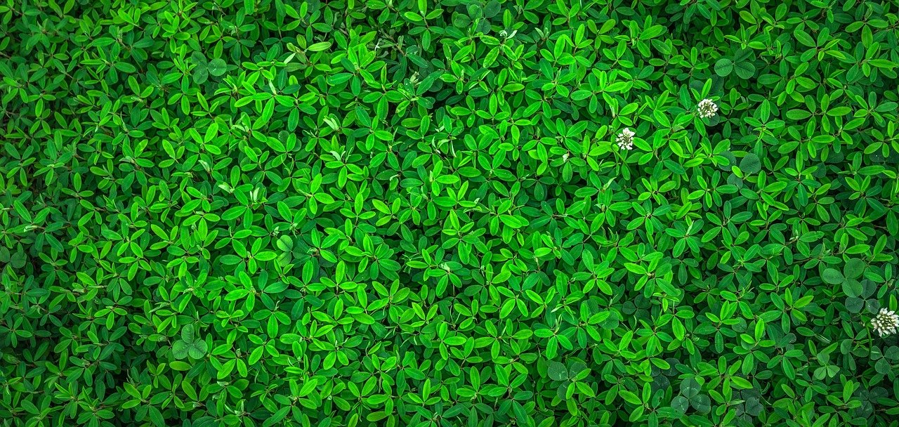 Où trouver des locations de matériel de camping écologique à Lyon selon Green Equipment ?