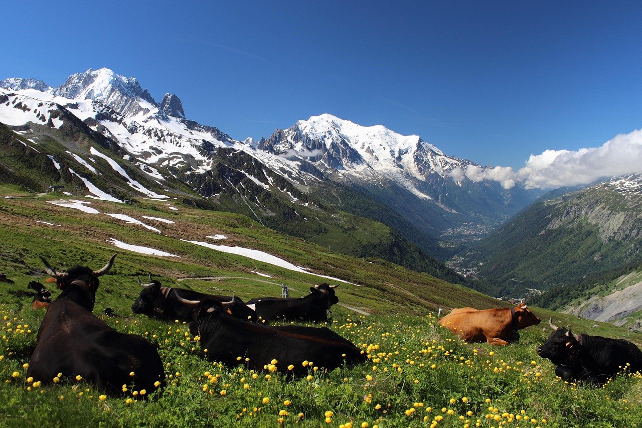 « Offres Rentrée 2025 : Dernières Minutes pour un Week-End à Mont Blanc »