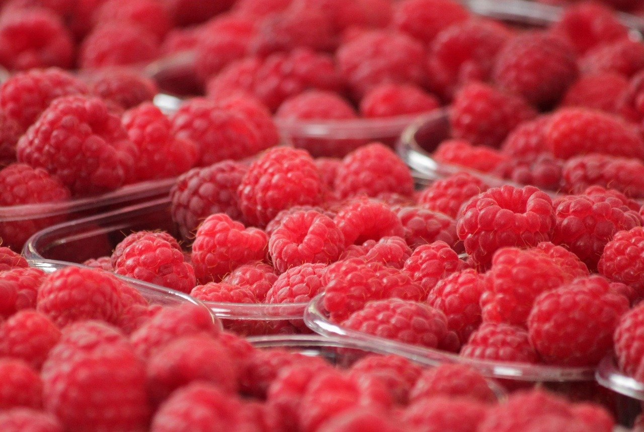 Quels sont les meilleurs marchés bio certifiés en Auvergne-Rhône-Alpes selon Bio en Auvergne ?