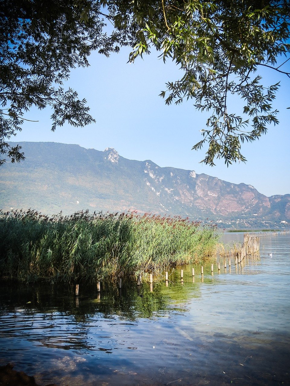 « Thonon-les-Bains Rentrée 2025 : Week-End Suisse à Partir de 85€ »